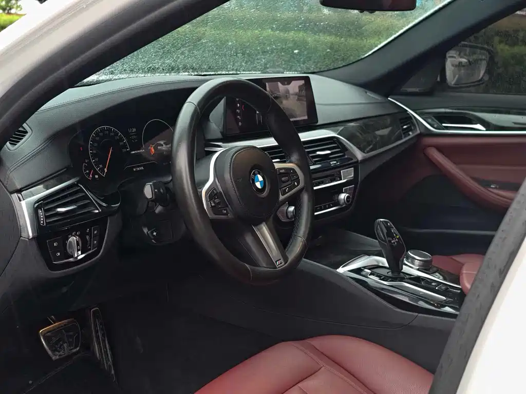 BMW 5 Series 2019 — фото 10