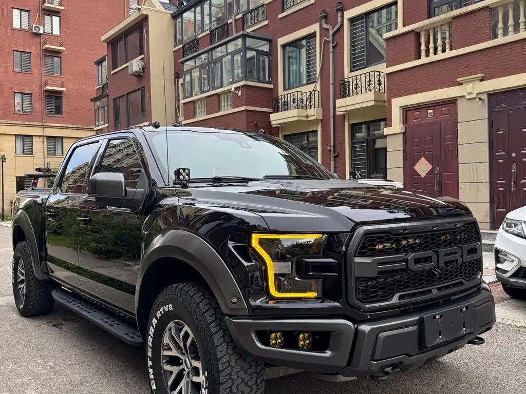 Ford F-150 Raptor 2019 — фото 3