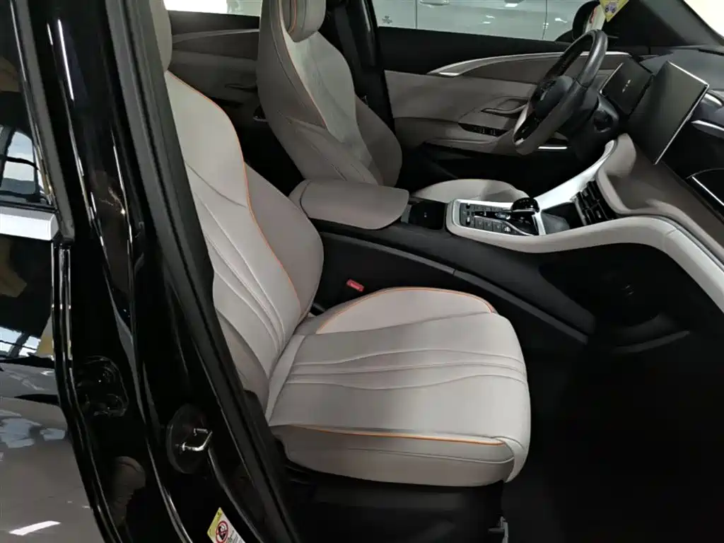 BYD Pro New Energy 2024 — фото 25