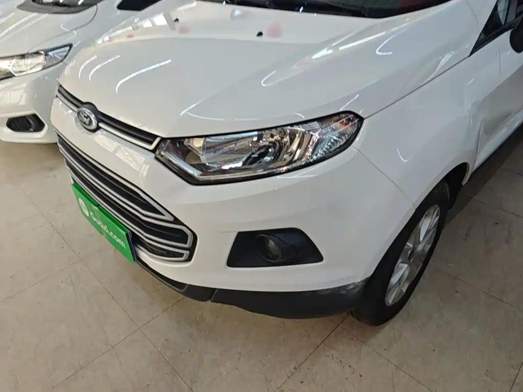 Ford Ecosport 2017 — фото 24