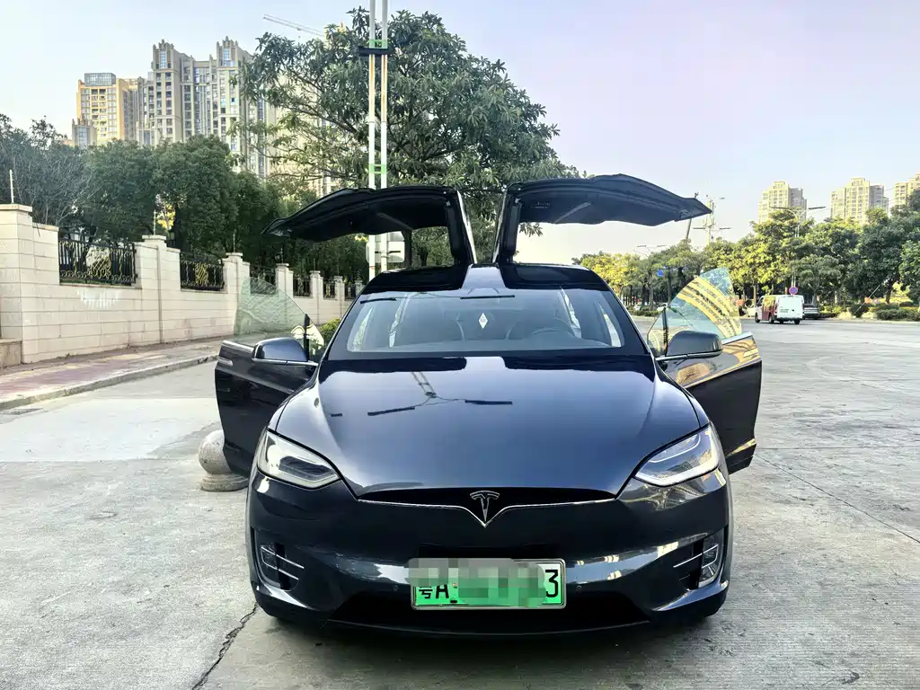 Tesla Model X 2020 — фото 6