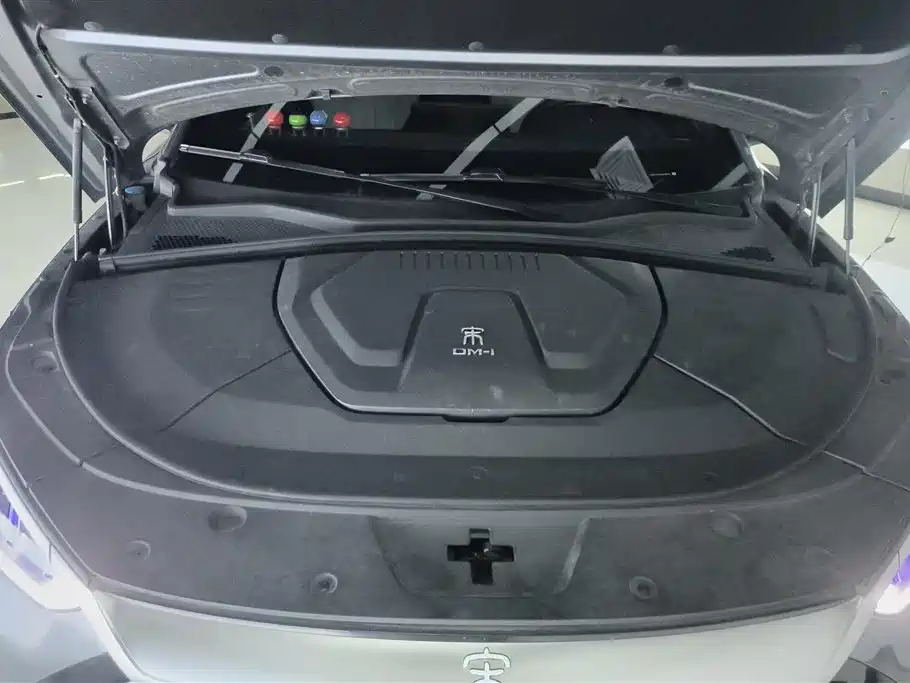 BYD PLUS New Energy 2021 — фото 10