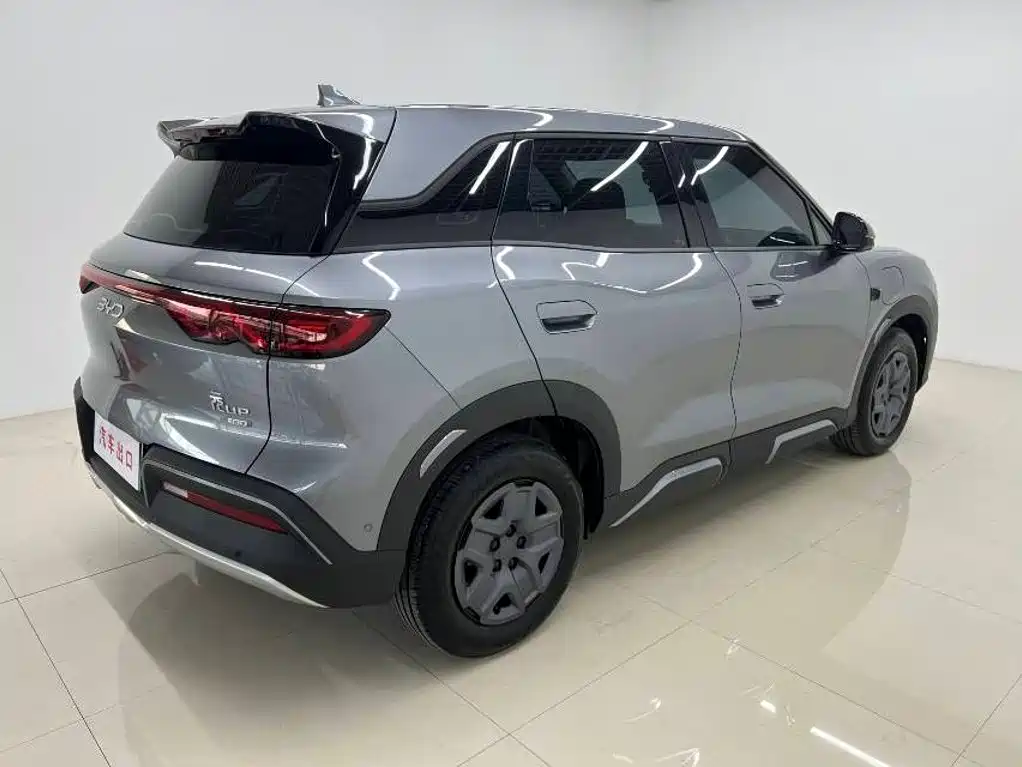 BYD Yuan UP 2025