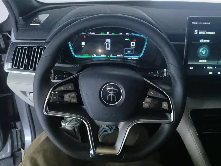 BYD PLUS New Energy 2021 — фото 15