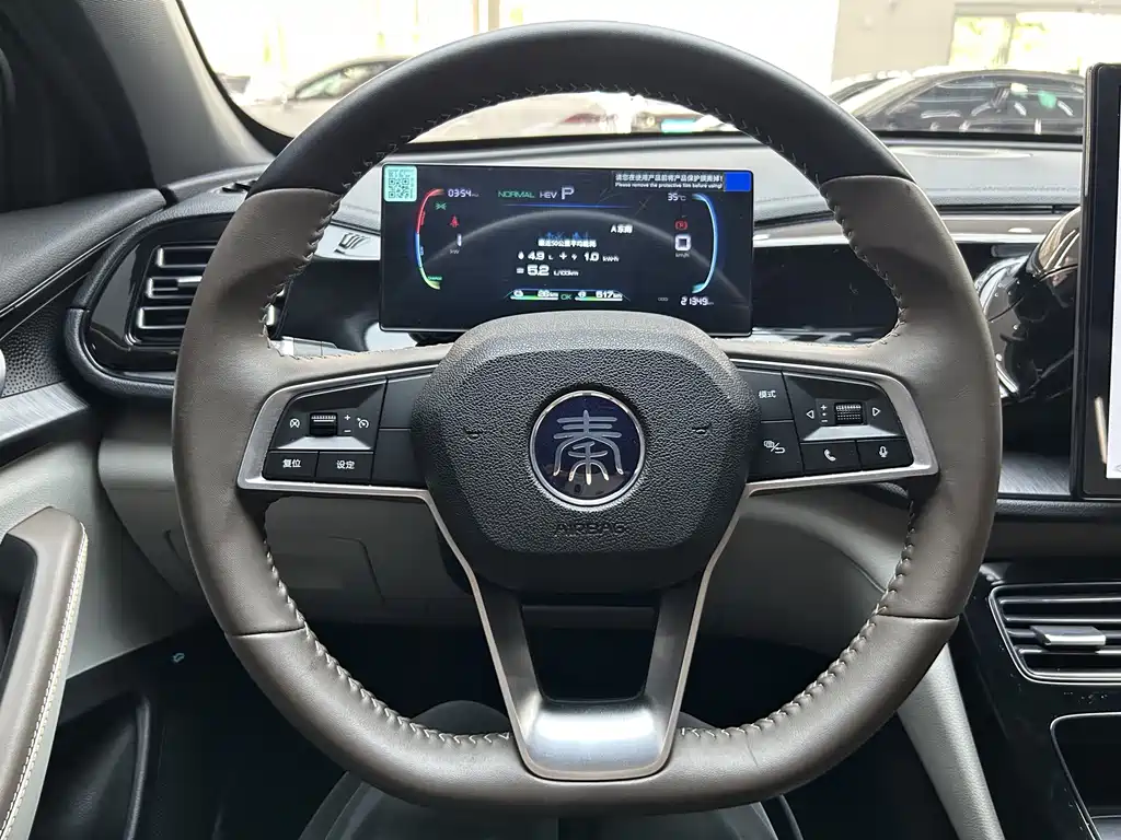 BYD Qin PLUS 2025 — фото 19