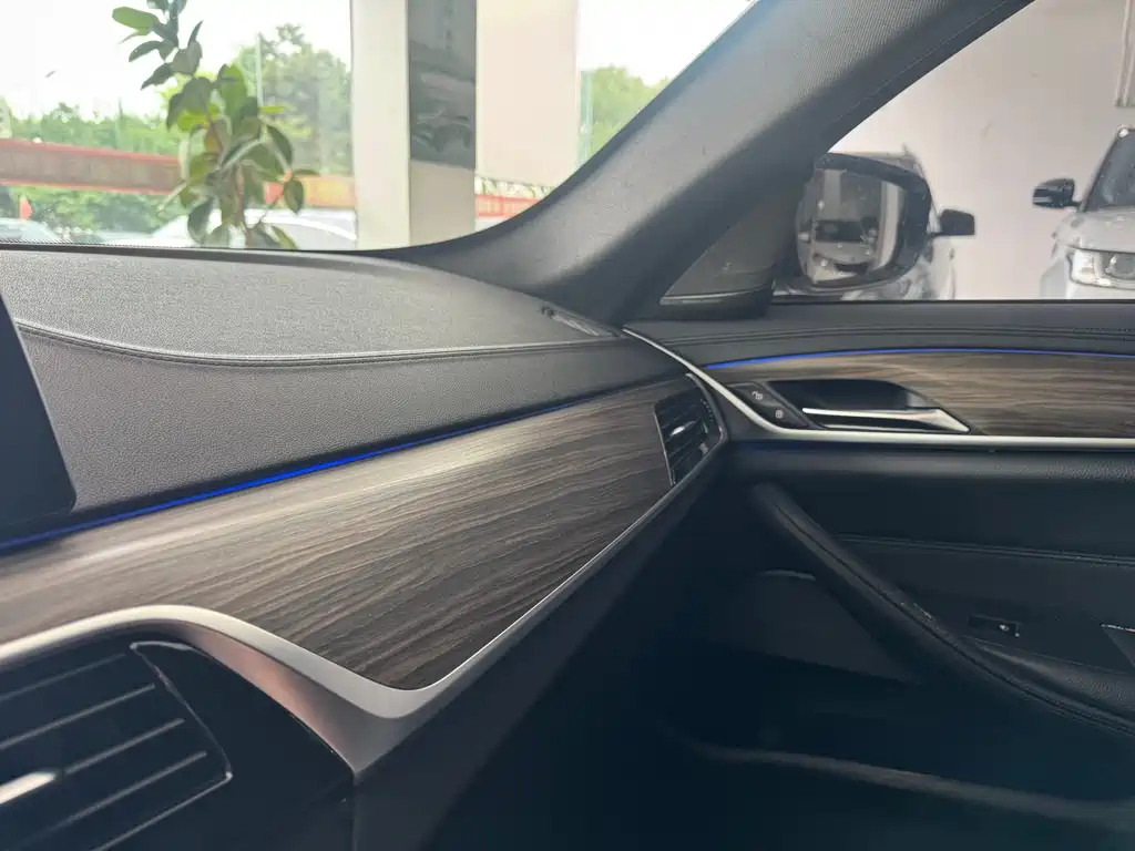 BMW 5 Series 2018 — фото 16