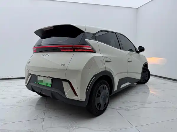 BYD Seagull 2024