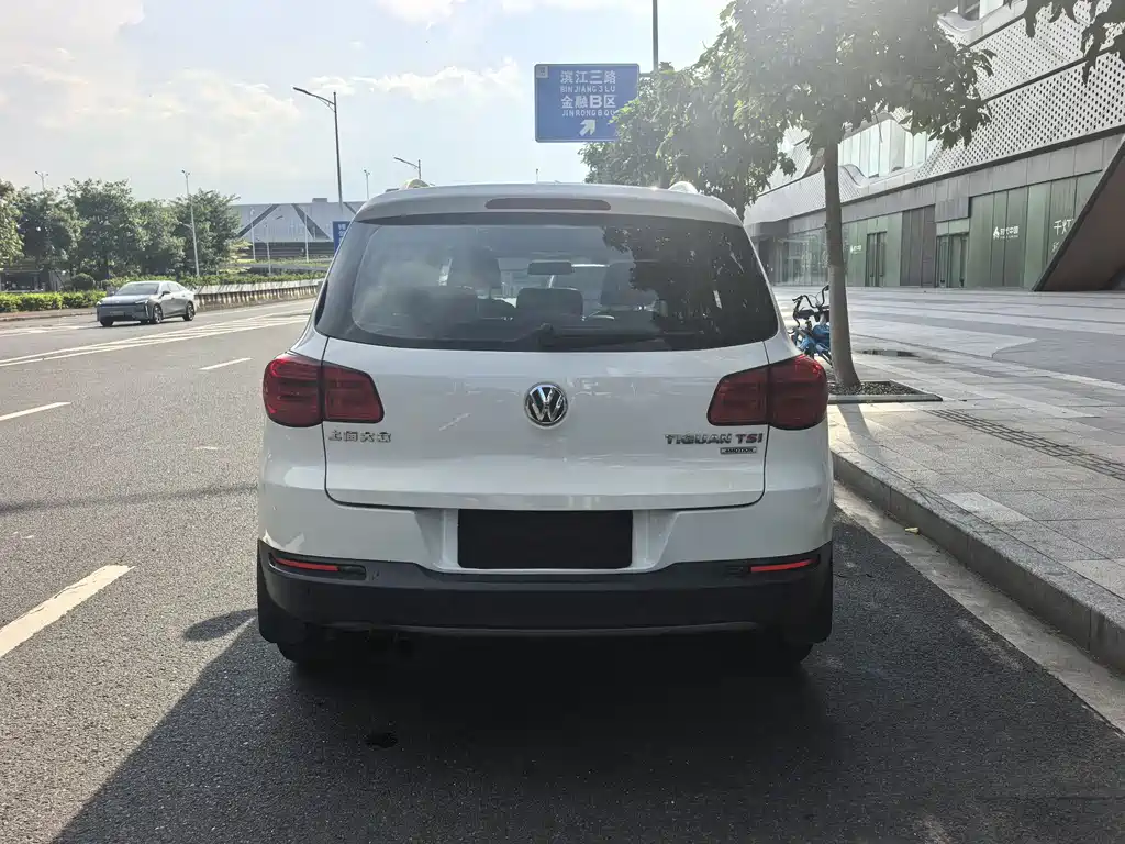 Volkswagen Tiguan 2010