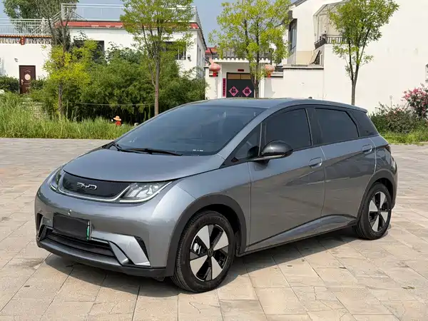BYD Dolphin 2024