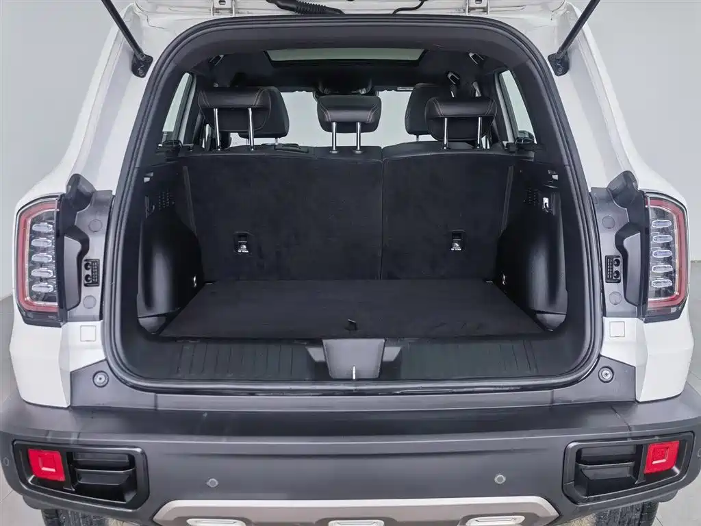 Haval Big Dog 2021 — фото 16