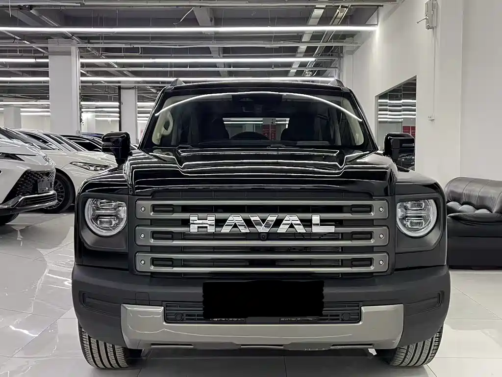 Haval Menglong New Energy 2024