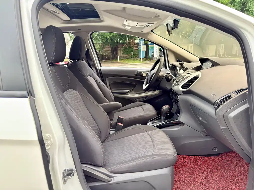 Ford Ecosport 2015 — фото 17