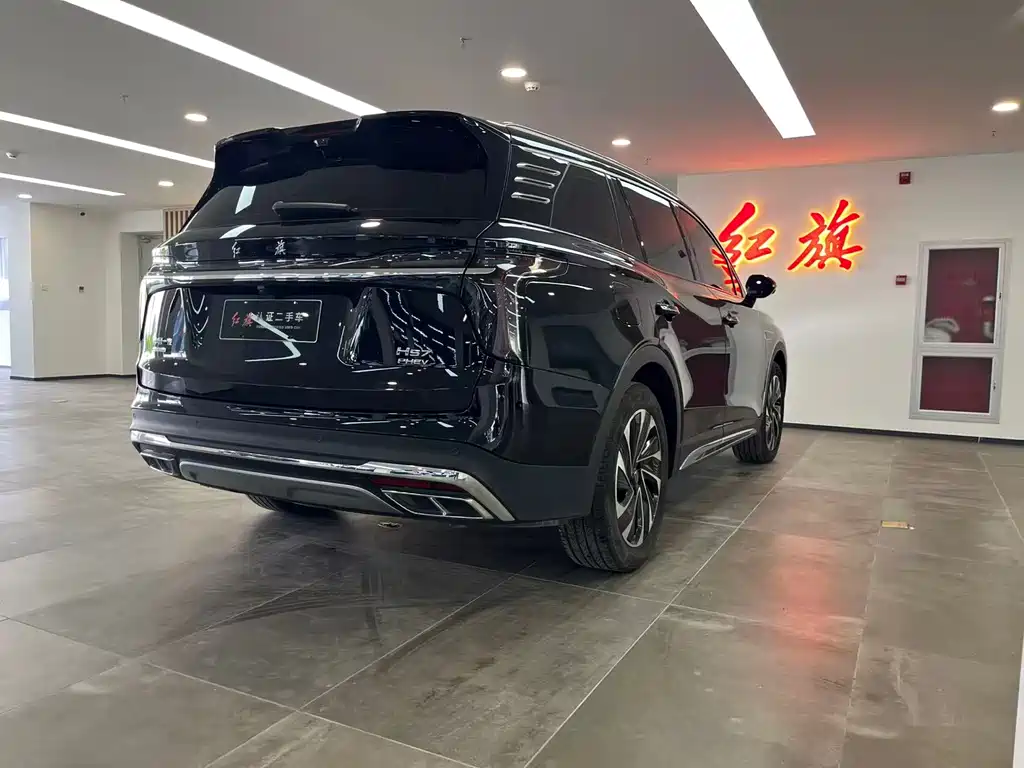 Hongqi HS7 PHEV 2024 — фото 6