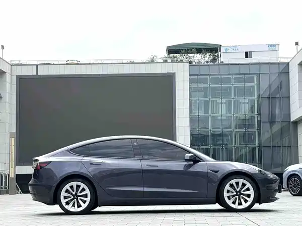 Tesla Model 3 2021