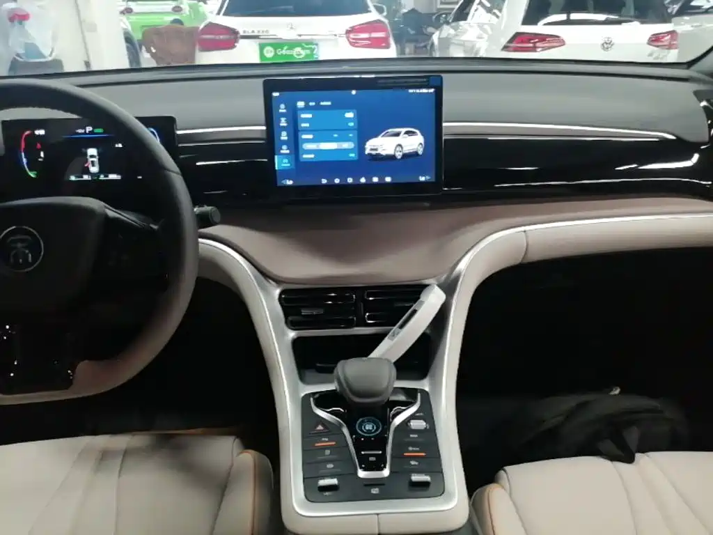 BYD Song Pro New Energy 2025 — фото 13
