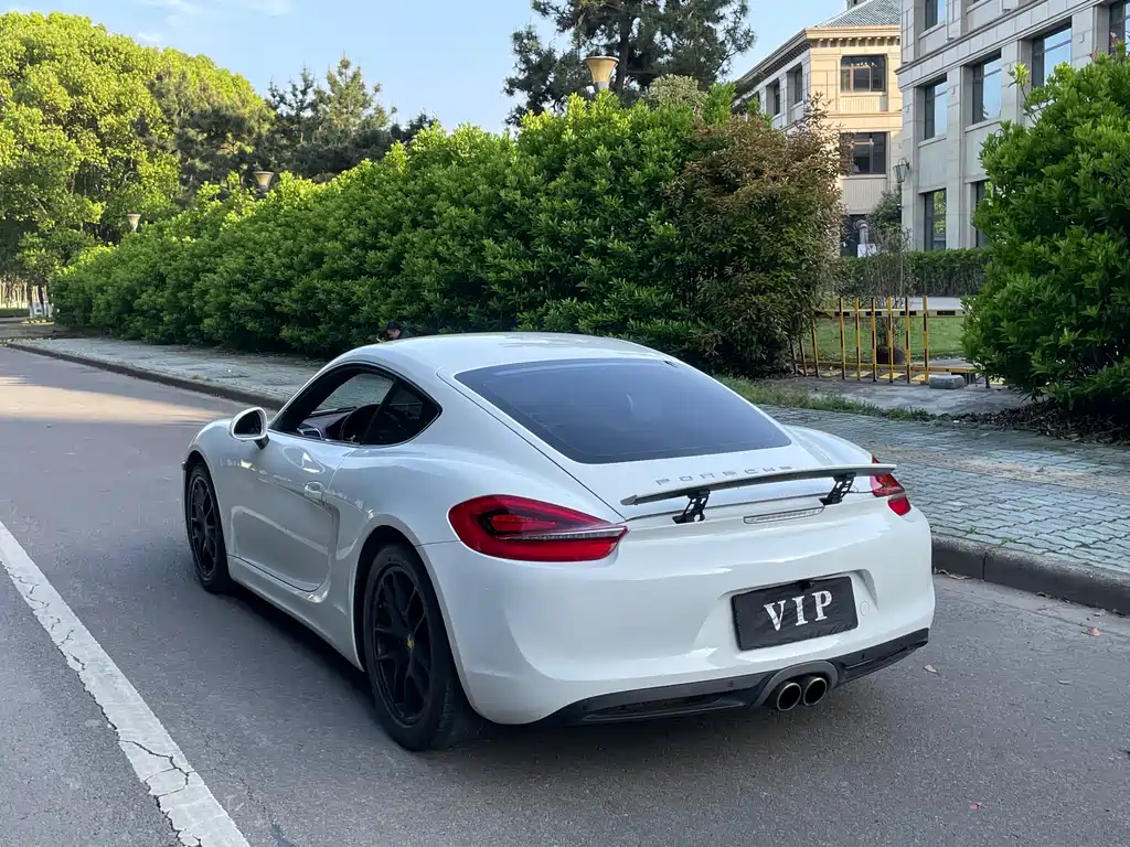 Porsche Cayman 2015 — фото 24