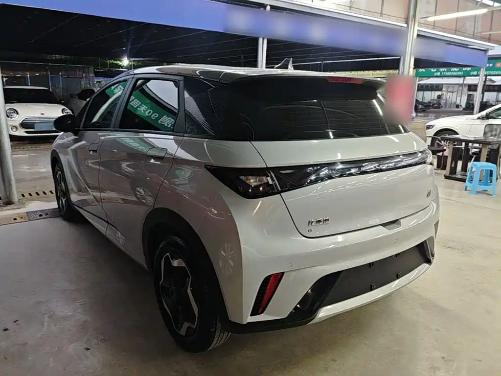 BYD Dolphin 2022