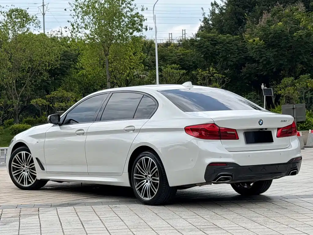 BMW 5 Series 2019 — фото 16