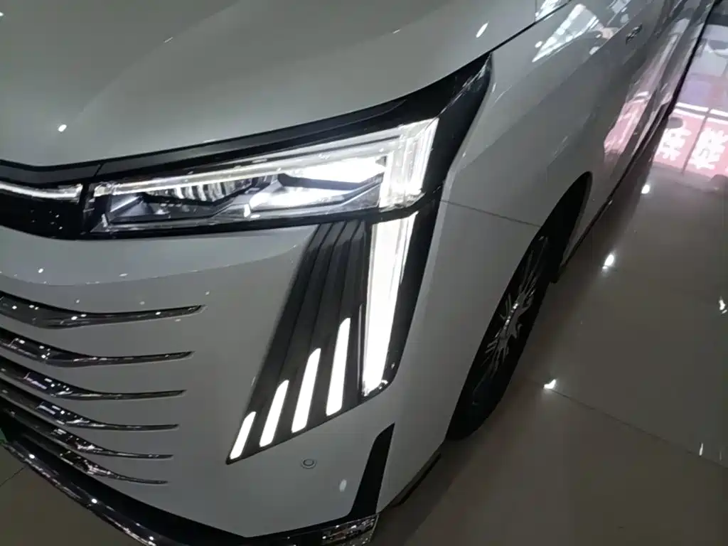 GAC Trumpchi E9 2023 — фото 24