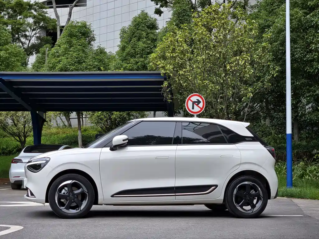 Dongfeng Nano 01 2024