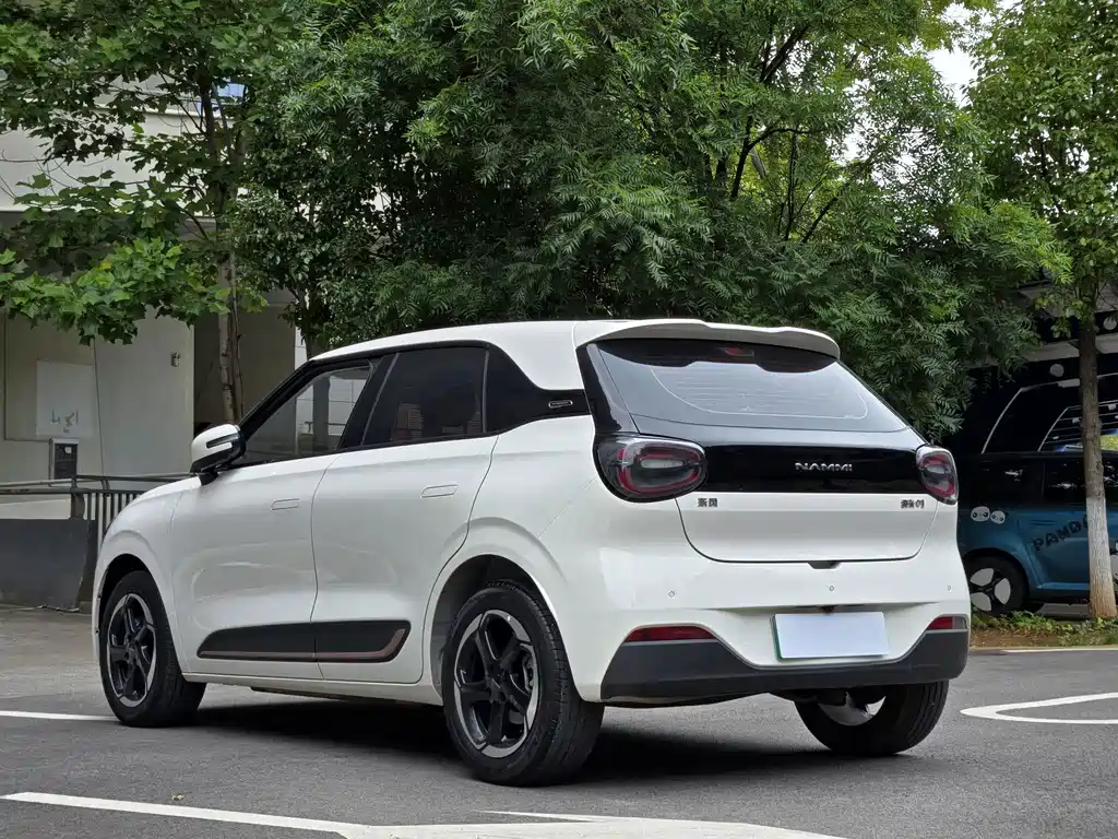 Dongfeng Nano 01 2024