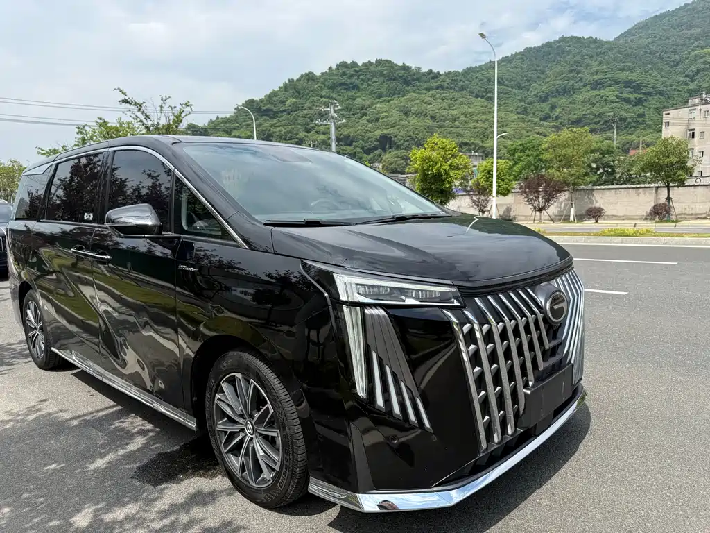 GAC Motor Trumpchi M8 2024 — фото 21