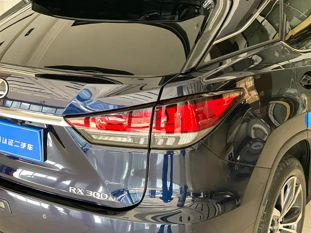 Lexus RX 2022 — фото 11