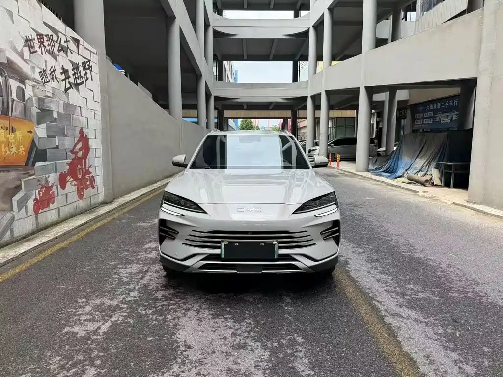 BYD Song PLUS New Energy 2024 — фото 2