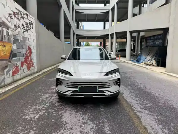 BYD Song PLUS New Energy 2024