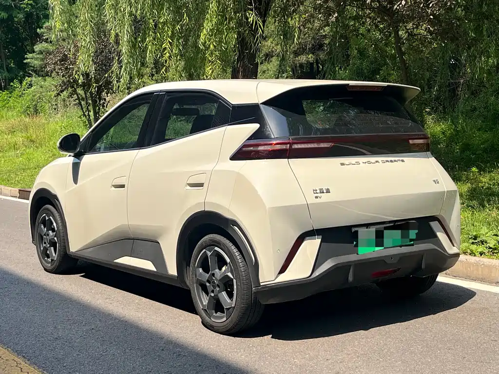 BYD Seagull 2024