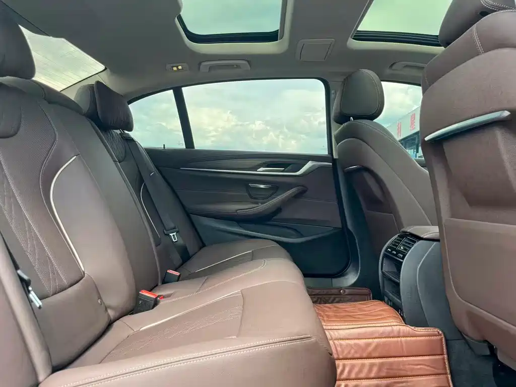 BMW 5 Series New Energy 2021