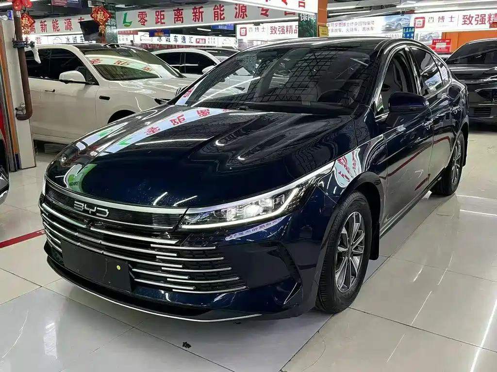 BYD Destroyer 05 2024 — фото 1