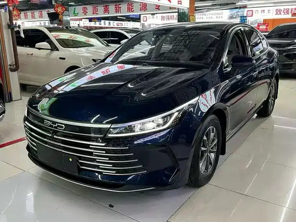 BYD Destroyer 05 2024