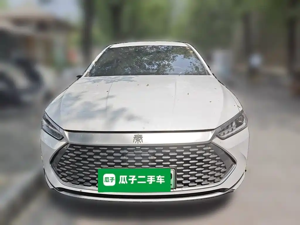 BYD Qin PLUS 2024 — фото 2