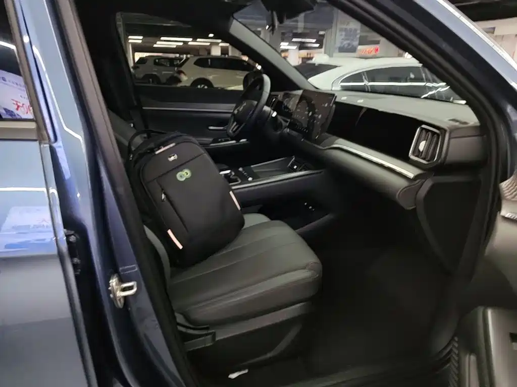 BYD Song Pro New Energy 2026 — фото 20