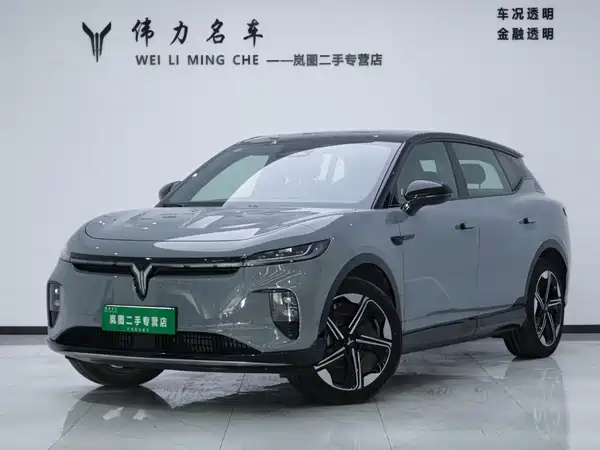 Voyah Zhiyin 2025