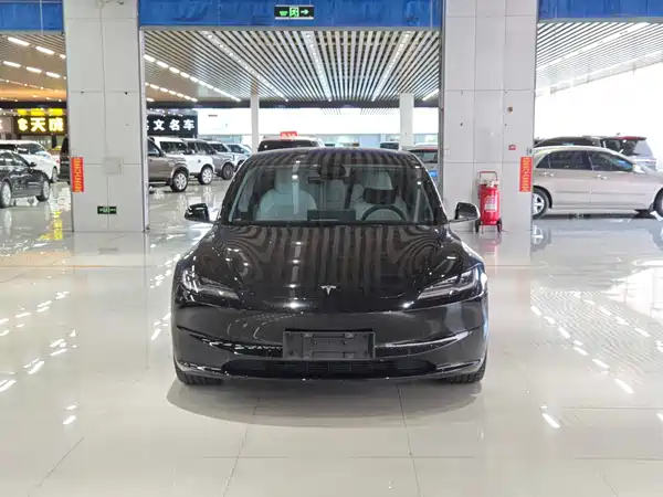 Tesla Model 3 2024