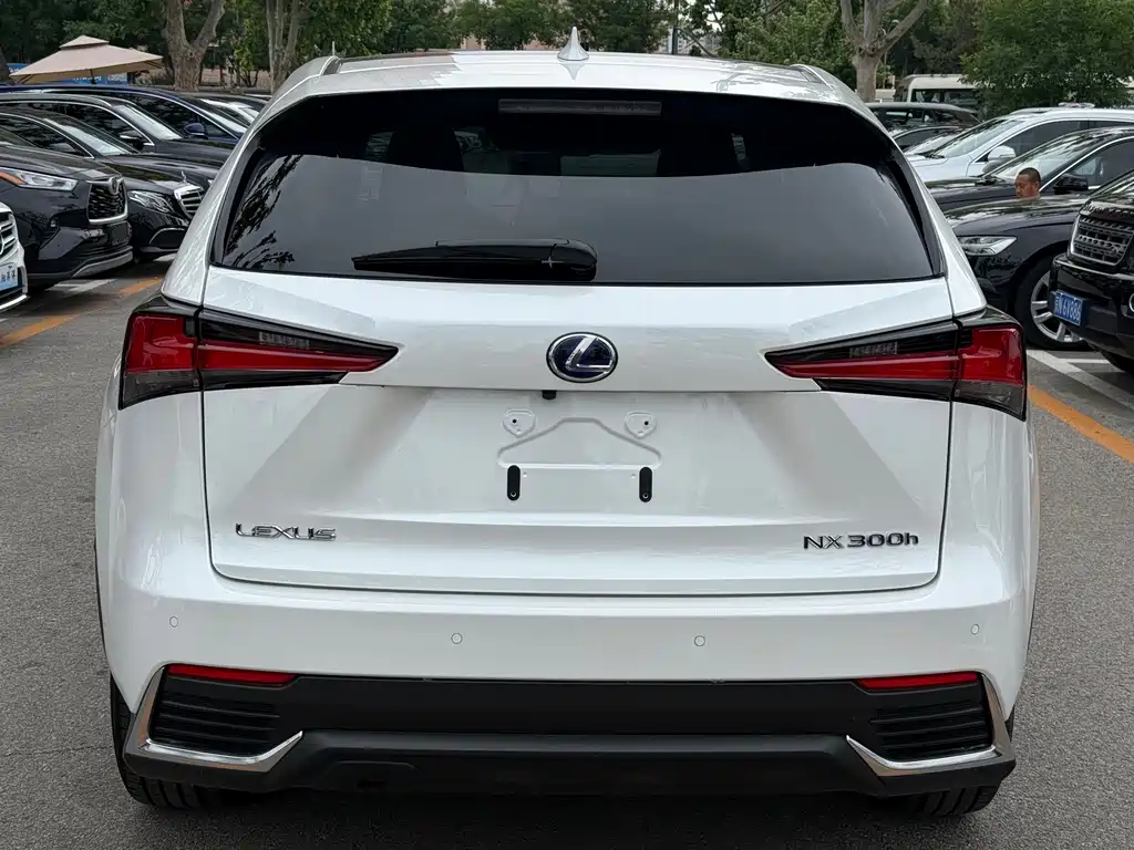 Lexus NX 2019 — фото 15