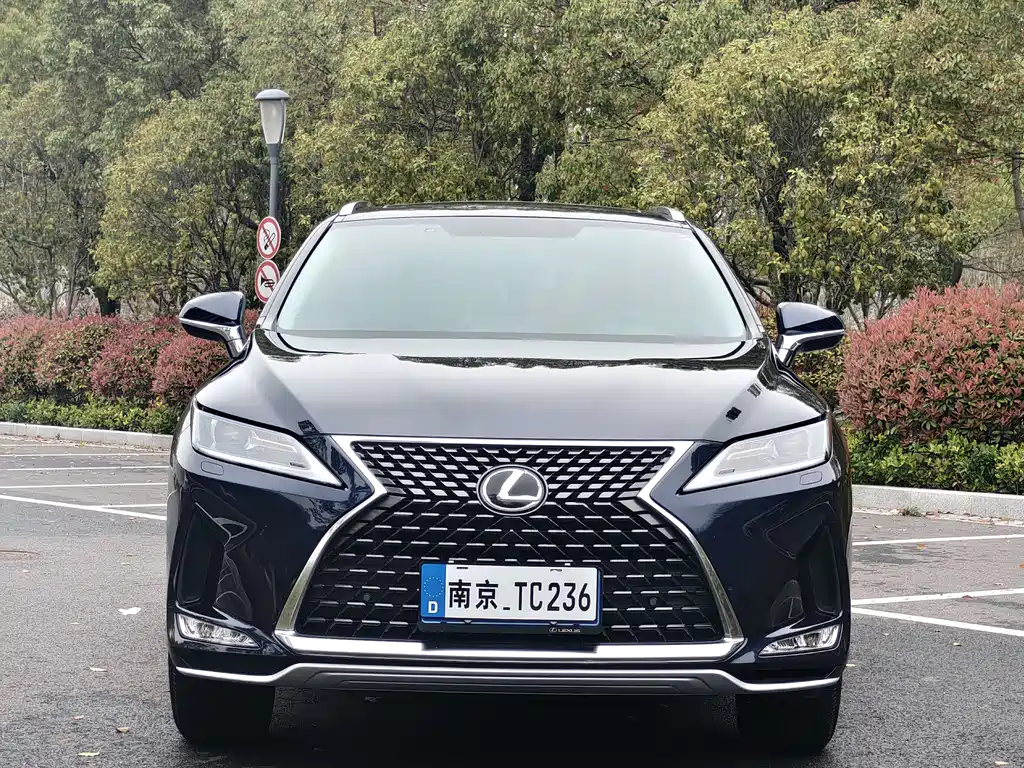 Lexus RX 2022 — фото 9