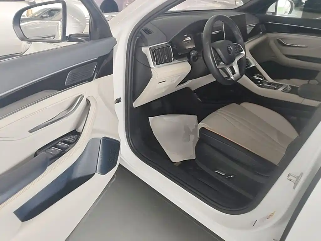 BYD Song PLUS New Energy 2023 — фото 16
