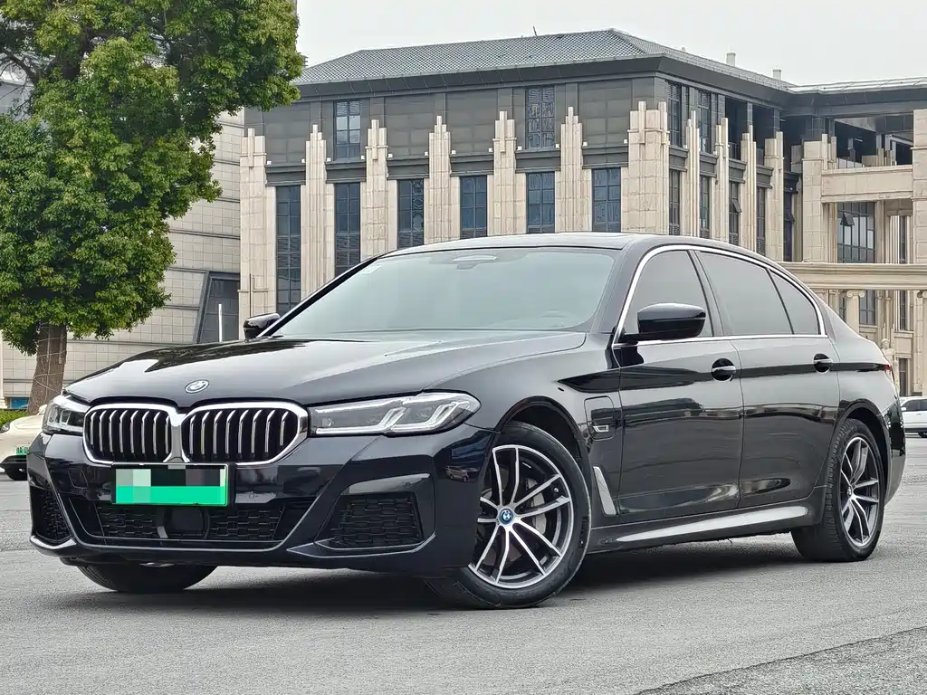 BMW 5 Series New Energy 2022