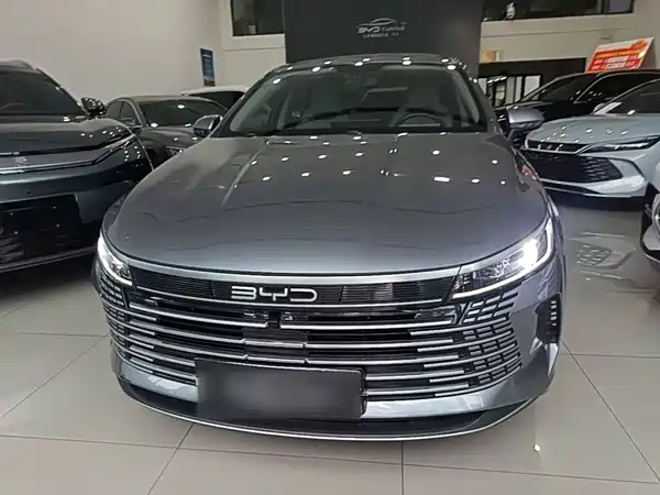 BYD Destroyer 05 2024