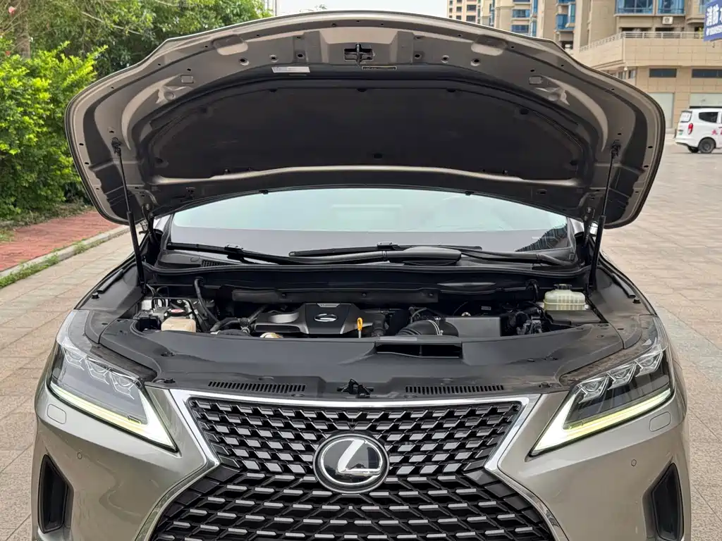 Lexus RX 2019 — фото 21