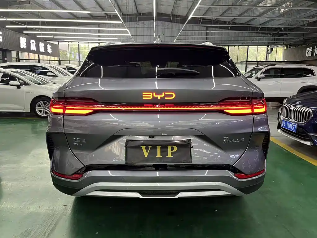 BYD Song PLUS New Energy 2024 — фото 8