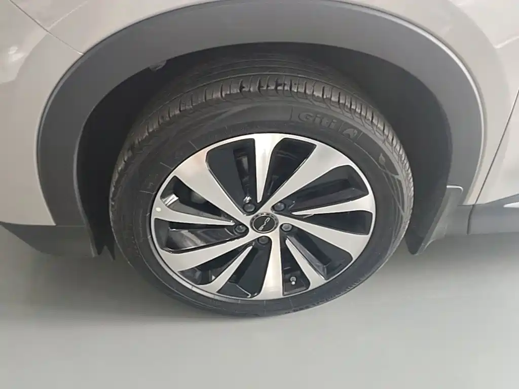 BYD Song PLUS New Energy 2024 — фото 23