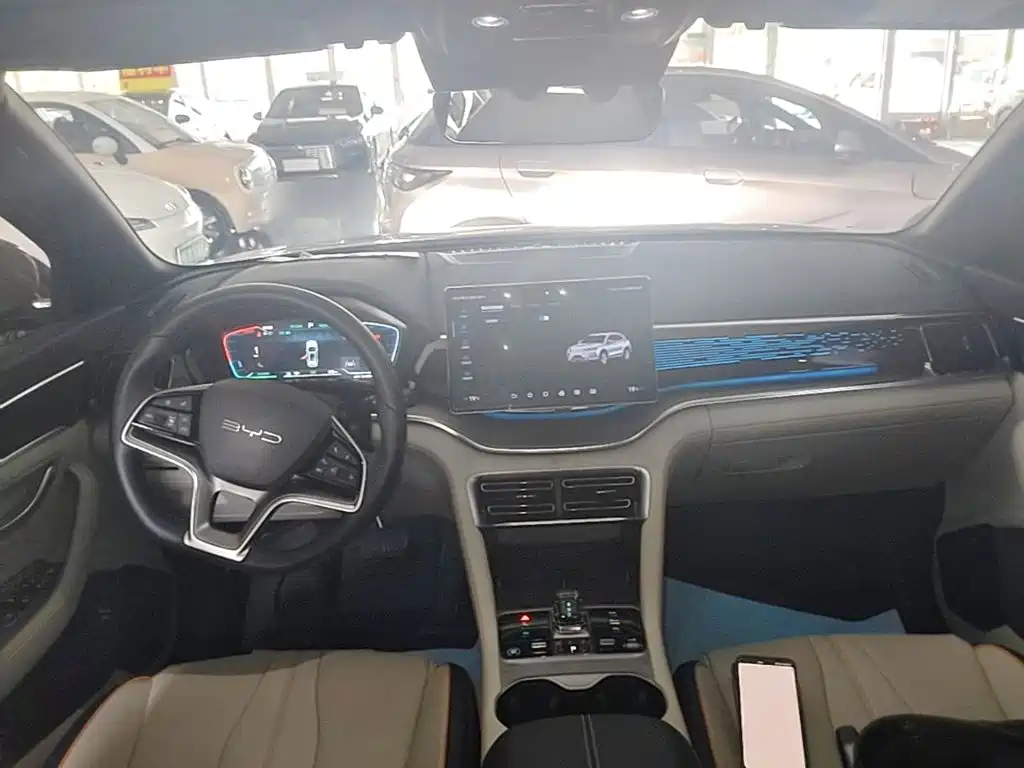 BYD Song PLUS New Energy 2024 — фото 10