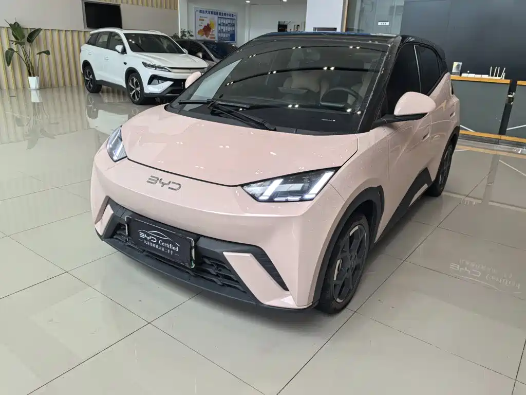 BYD Seagull 2024