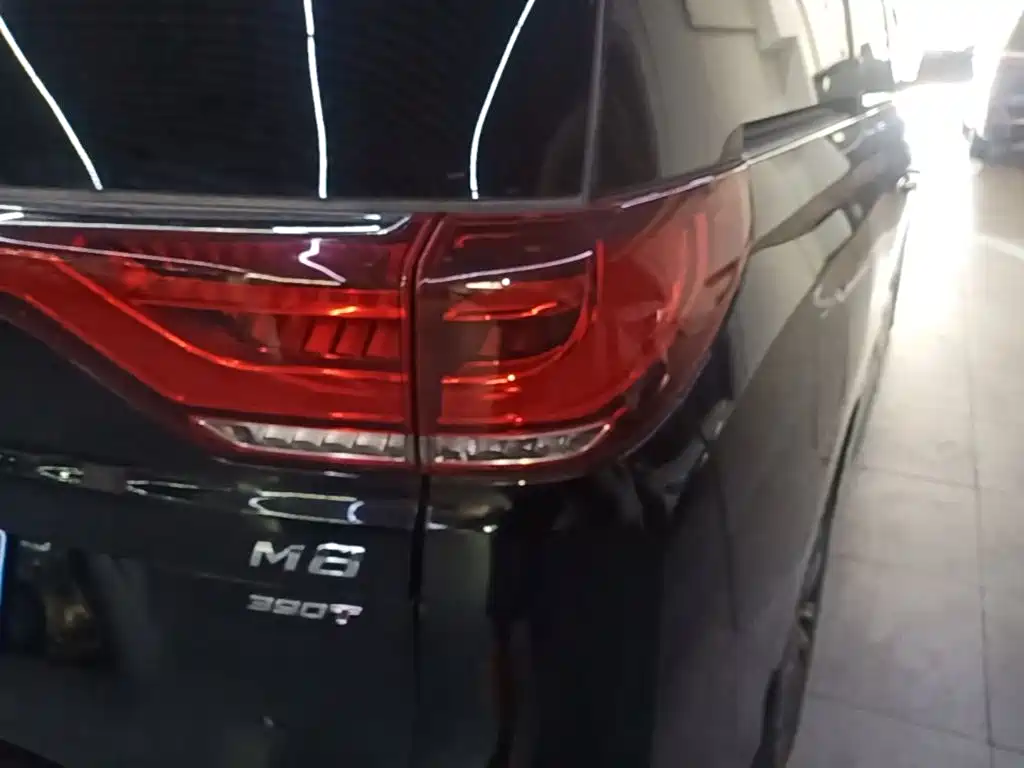 GAC Trumpchi M8 2022 — фото 8