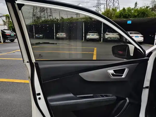 BYD Qin New Energy 2020