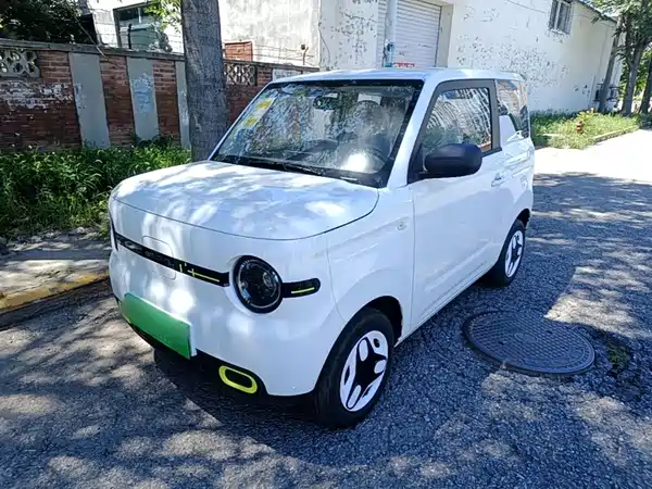 Geely Galaxy Panda 2026